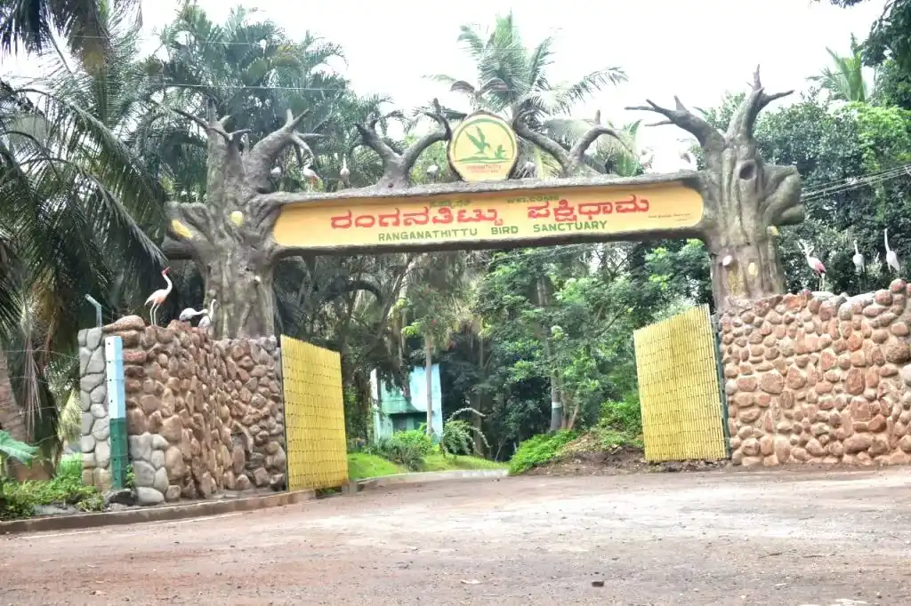 Entry Image